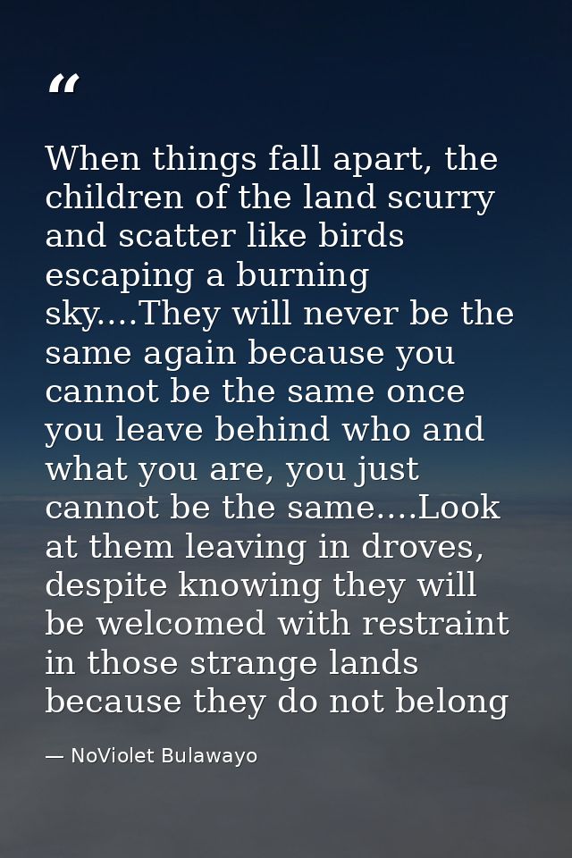 When things fall apart, the children of the land scurry and scatter like birds escaping a burning sky....They will never — NoViolet Bulawayo