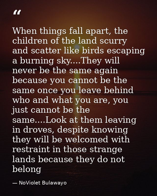 When things fall apart, the children of the land scurry and scatter like birds escaping a burning sky....They will never — NoViolet Bulawayo