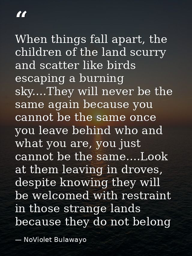 When things fall apart, the children of the land scurry and scatter like birds escaping a burning sky....They will never — NoViolet Bulawayo
