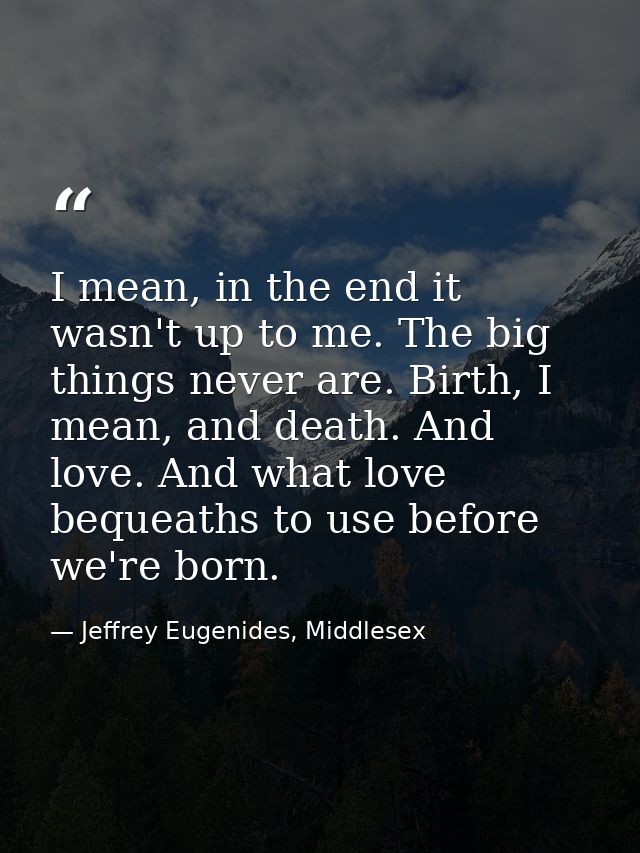 I mean, in the end it wasn't up to me. The big things never are. Birth, I mean, and death. And love. And what love beque — Jeffrey Eugenides, Middlesex