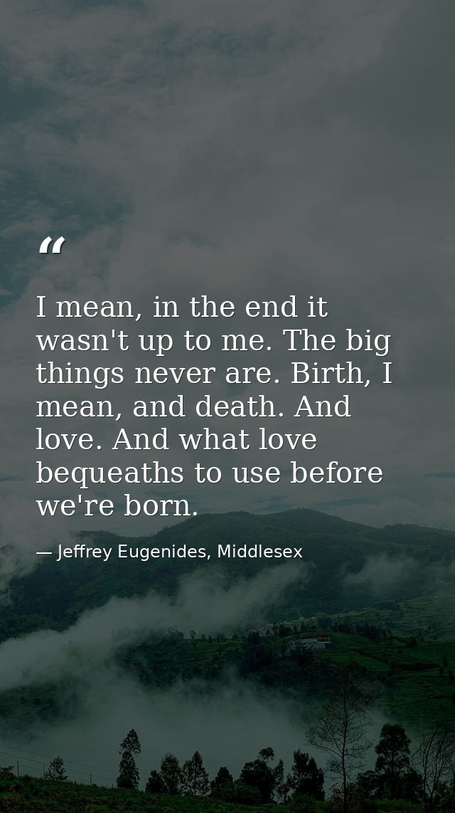 I mean, in the end it wasn't up to me. The big things never are. Birth, I mean, and death. And love. And what love beque — Jeffrey Eugenides, Middlesex