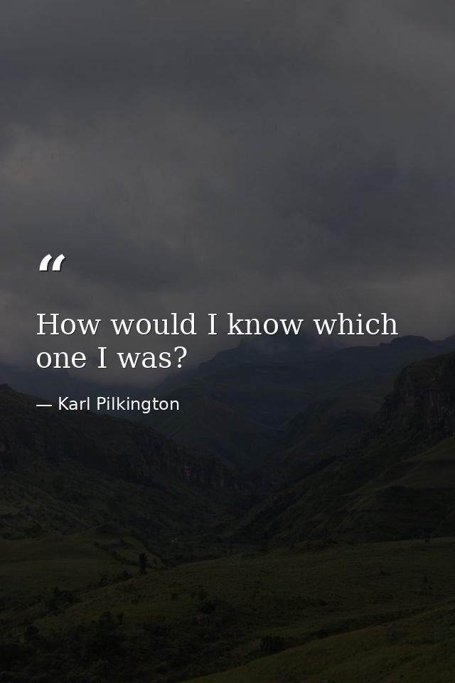 How would I know which one I was? — Karl Pilkington