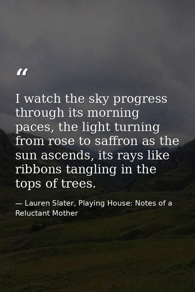 I watch the sky progress through its morning paces, the light turning from rose to saffron as the sun ascends, its rays  — Lauren Slater, Playing House: Notes of a Reluctant Mother