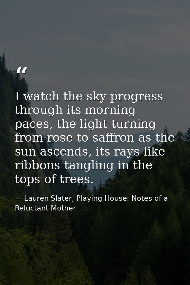 I watch the sky progress through its morning paces, the light turning from rose to saffron as the sun ascends, its rays  — Lauren Slater, Playing House: Notes of a Reluctant Mother