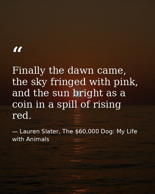 Finally the dawn came, the sky fringed with pink, and the sun bright as a coin in a spill of rising red. — Lauren Slater, The $60,000 Dog: My Life with Animals