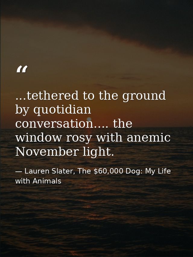 ...tethered to the ground by quotidian conversation.... the window rosy with anemic November light. — Lauren Slater, The $60,000 Dog: My Life with Animals