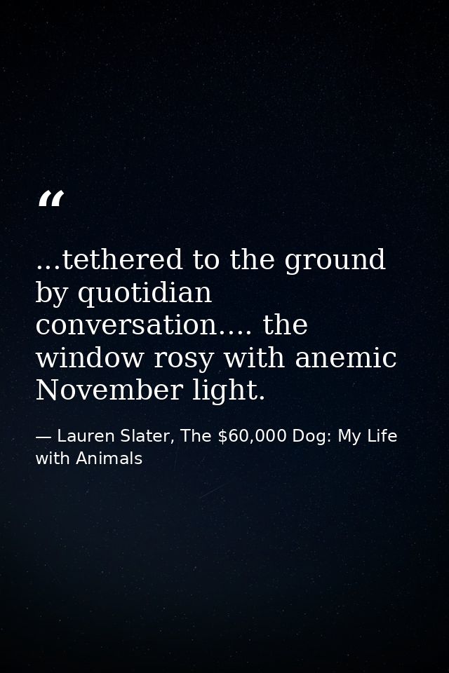 ...tethered to the ground by quotidian conversation.... the window rosy with anemic November light. — Lauren Slater, The $60,000 Dog: My Life with Animals