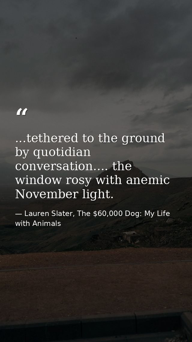 ...tethered to the ground by quotidian conversation.... the window rosy with anemic November light. — Lauren Slater, The $60,000 Dog: My Life with Animals