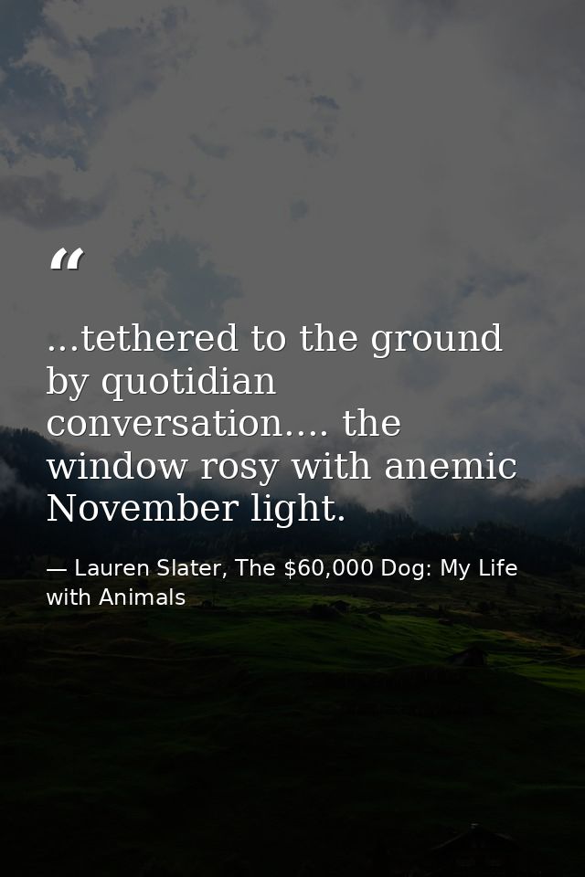...tethered to the ground by quotidian conversation.... the window rosy with anemic November light. — Lauren Slater, The $60,000 Dog: My Life with Animals