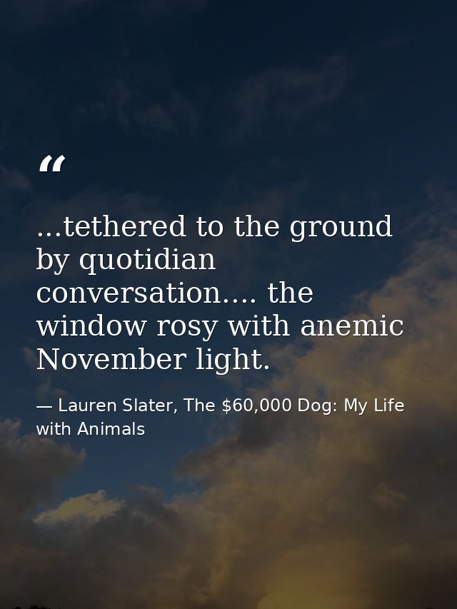 ...tethered to the ground by quotidian conversation.... the window rosy with anemic November light. — Lauren Slater, The $60,000 Dog: My Life with Animals