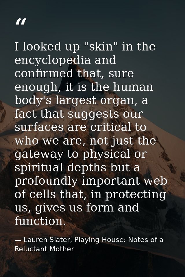 I looked up "skin" in the encyclopedia and confirmed that, sure enough, it is the human body's largest organ, a fact tha — Lauren Slater, Playing House: Notes of a Reluctant Mother
