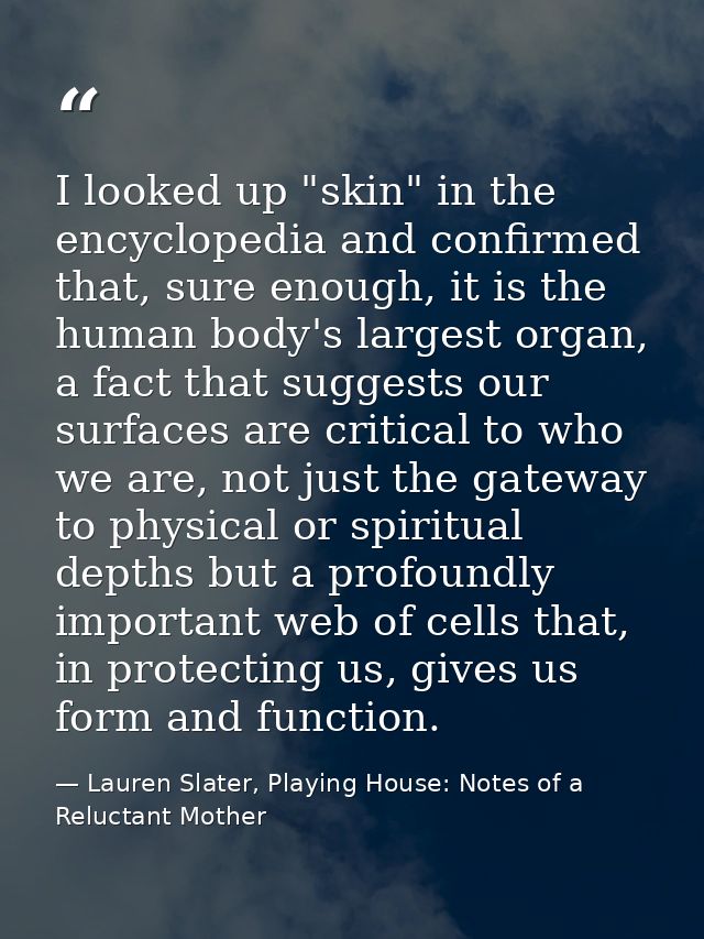 I looked up "skin" in the encyclopedia and confirmed that, sure enough, it is the human body's largest organ, a fact tha — Lauren Slater, Playing House: Notes of a Reluctant Mother