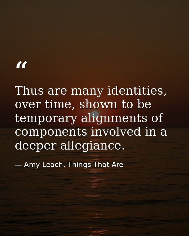 Thus are many identities, over time, shown to be temporary alignments of components involved in a deeper allegiance. — Amy Leach, Things That Are