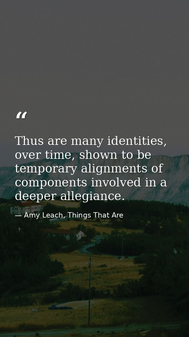 Thus are many identities, over time, shown to be temporary alignments of components involved in a deeper allegiance. — Amy Leach, Things That Are