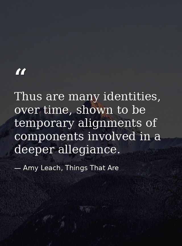 Thus are many identities, over time, shown to be temporary alignments of components involved in a deeper allegiance. — Amy Leach, Things That Are