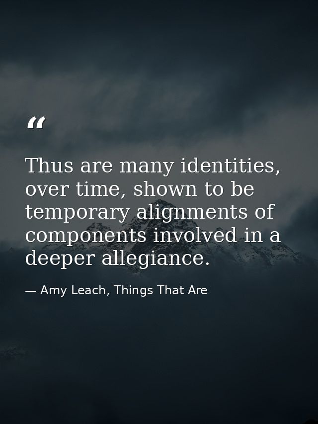 Thus are many identities, over time, shown to be temporary alignments of components involved in a deeper allegiance. — Amy Leach, Things That Are