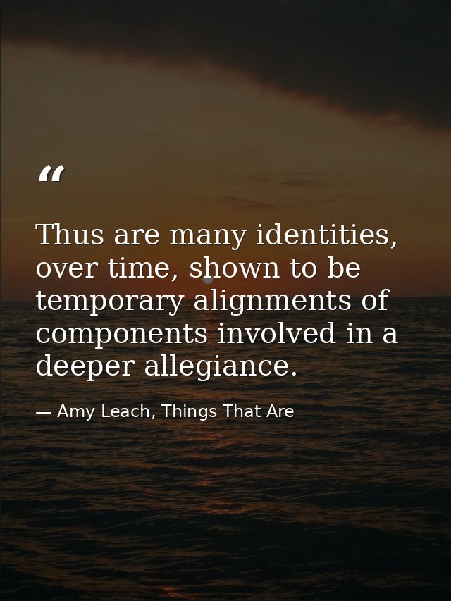 Thus are many identities, over time, shown to be temporary alignments of components involved in a deeper allegiance. — Amy Leach, Things That Are