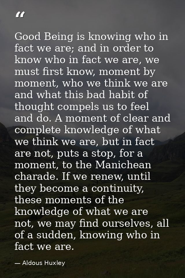 Good Being is knowing who in fact we are; and in order to know who in fact we are, we must first know, moment by moment, — Aldous Huxley