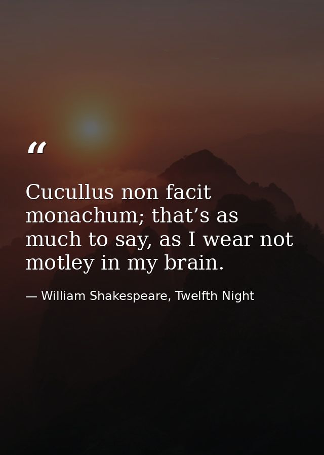 Cucullus non facit monachum; that’s as much to say, as I wear not motley in my brain. — William Shakespeare, Twelfth Night