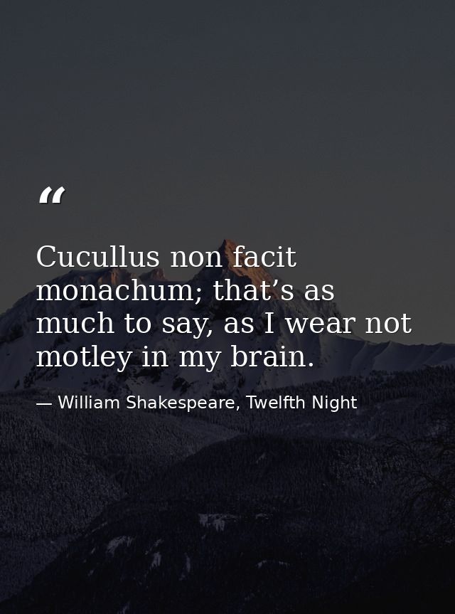 Cucullus non facit monachum; that’s as much to say, as I wear not motley in my brain. — William Shakespeare, Twelfth Night
