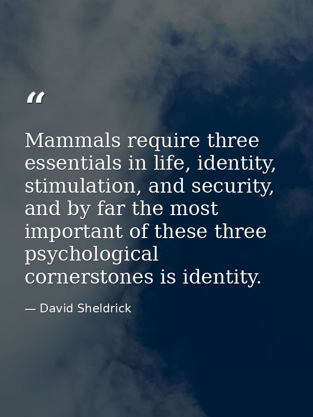 Mammals require three essentials in life, identity, stimulation, and security, and by far the most important of these th — David Sheldrick