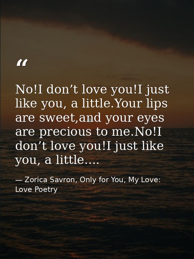 No!I don’t love you!I just like you, a little.Your lips are sweet,and your eyes are precious to me.No!I don’t love you!I — Zorica Savron, Only for You, My Love: Love Poetry