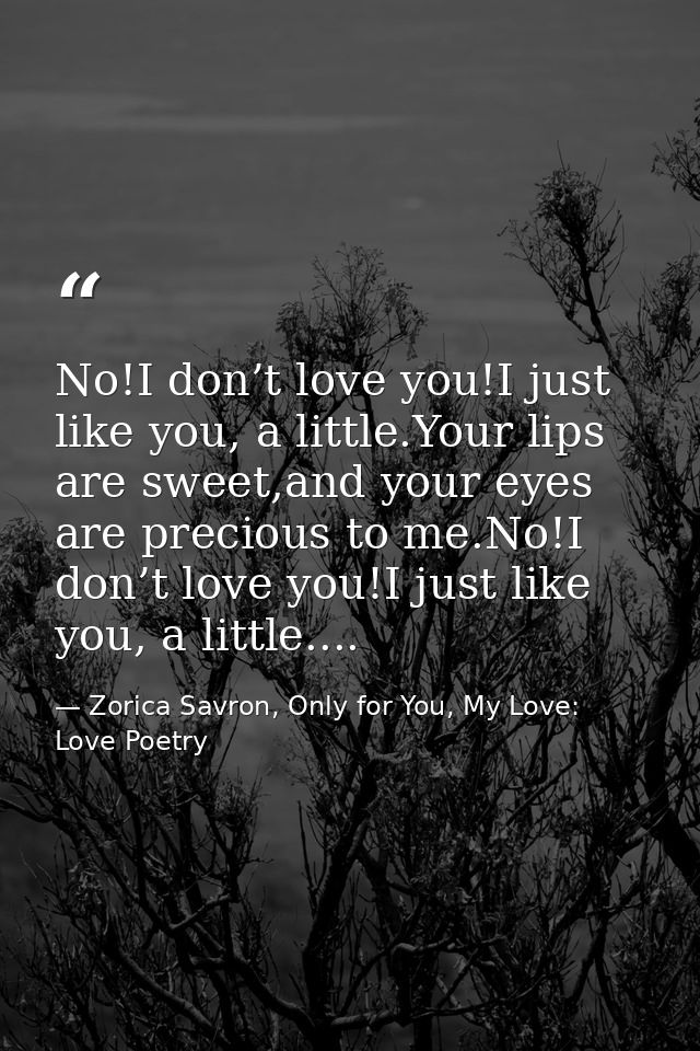 No!I don’t love you!I just like you, a little.Your lips are sweet,and your eyes are precious to me.No!I don’t love you!I — Zorica Savron, Only for You, My Love: Love Poetry