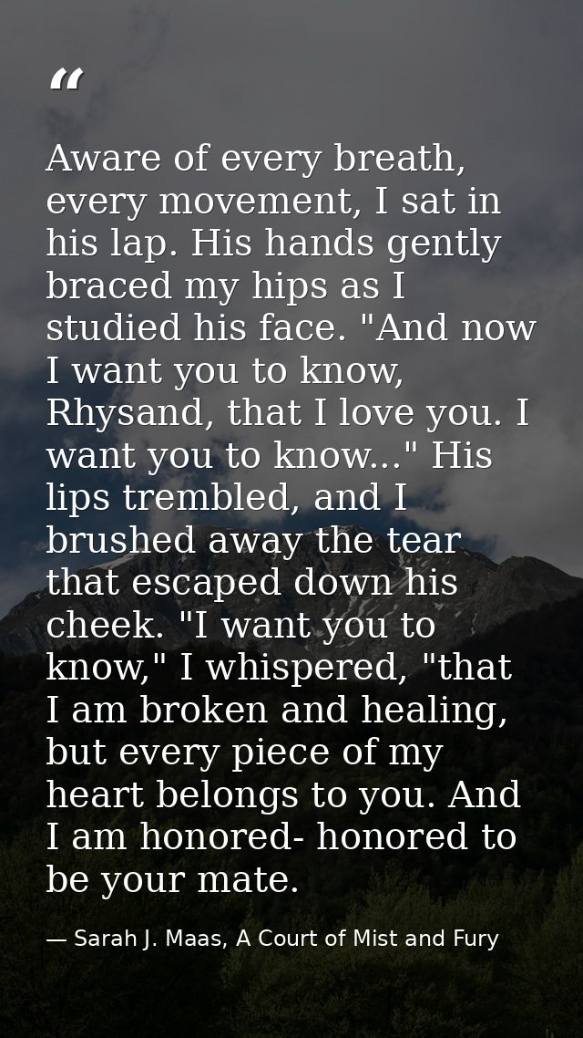 Aware of every breath, every movement, I sat in his lap. His hands gently braced my hips as I studied his face. "And now — Sarah J. Maas, A Court of Mist and Fury