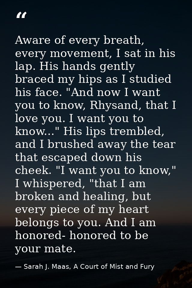 Aware of every breath, every movement, I sat in his lap. His hands gently braced my hips as I studied his face. "And now — Sarah J. Maas, A Court of Mist and Fury