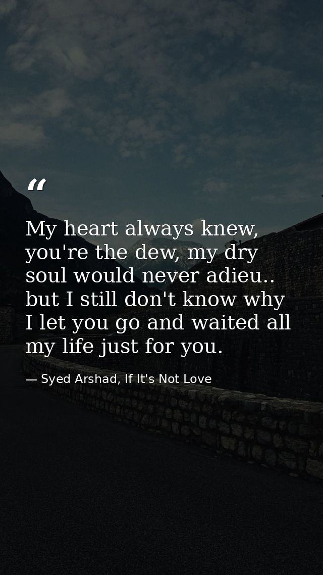 My heart always knew, you're the dew, my dry soul would never adieu.. but I still don't know why I let you go and waited — Syed Arshad, If It's Not Love
