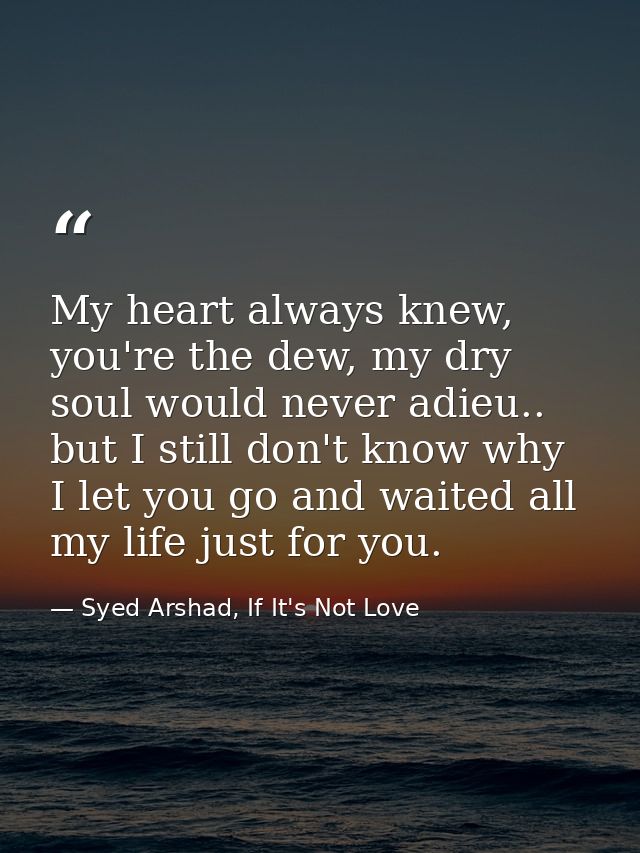 My heart always knew, you're the dew, my dry soul would never adieu.. but I still don't know why I let you go and waited — Syed Arshad, If It's Not Love
