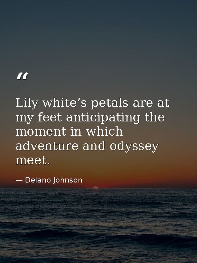 Lily white’s petals are at my feet anticipating the moment in which adventure and odyssey meet. — Delano Johnson