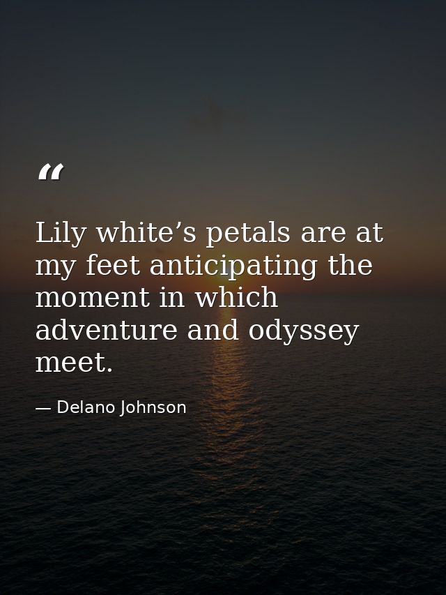 Lily white’s petals are at my feet anticipating the moment in which adventure and odyssey meet. — Delano Johnson