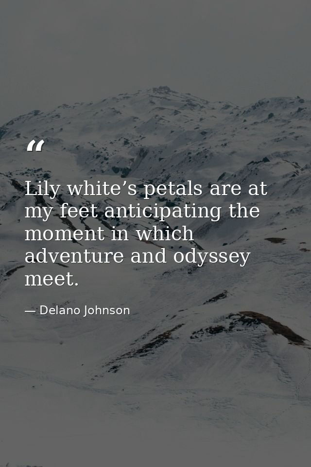 Lily white’s petals are at my feet anticipating the moment in which adventure and odyssey meet. — Delano Johnson