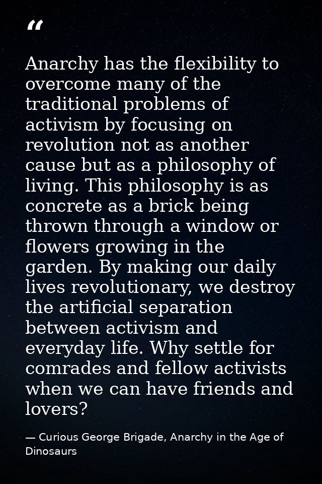 Anarchy has the flexibility to overcome many of the traditional problems of activism by focusing on revolution not as an — Curious George Brigade, Anarchy in the Age of Dinosaurs