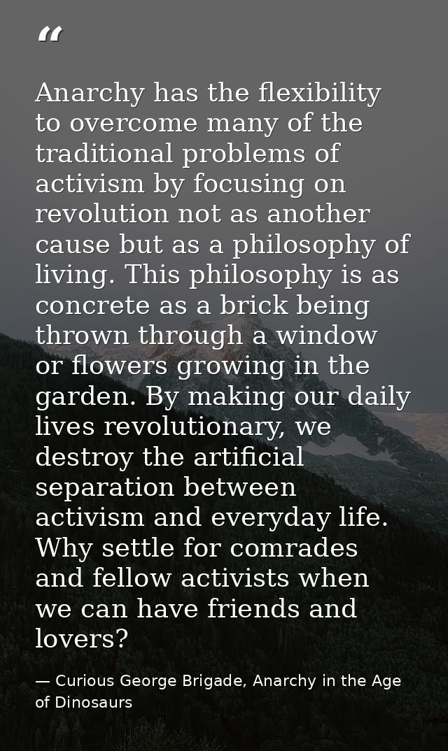 Anarchy has the flexibility to overcome many of the traditional problems of activism by focusing on revolution not as an — Curious George Brigade, Anarchy in the Age of Dinosaurs