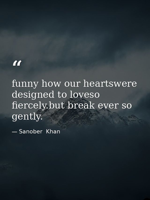 funny how our heartswere designed to loveso fiercely.but break ever so gently. — Sanober  Khan