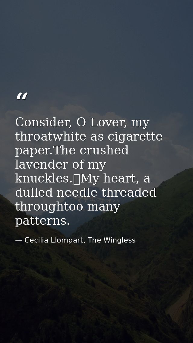 Consider, O Lover, my throatwhite as cigarette paper.The crushed lavender of my knuckles.	My heart, a dulled needle thre — Cecilia Llompart, The Wingless