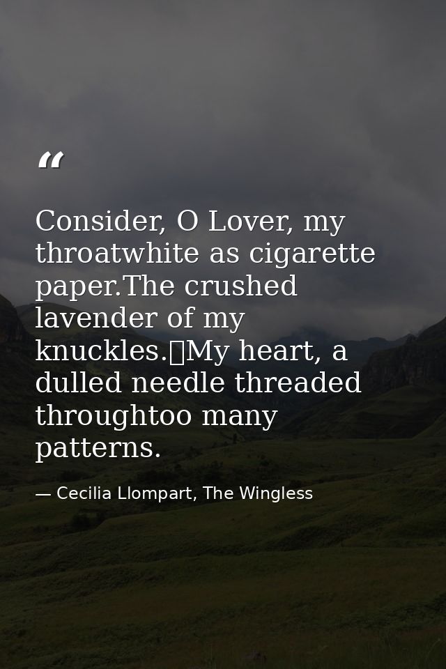 Consider, O Lover, my throatwhite as cigarette paper.The crushed lavender of my knuckles.	My heart, a dulled needle thre — Cecilia Llompart, The Wingless