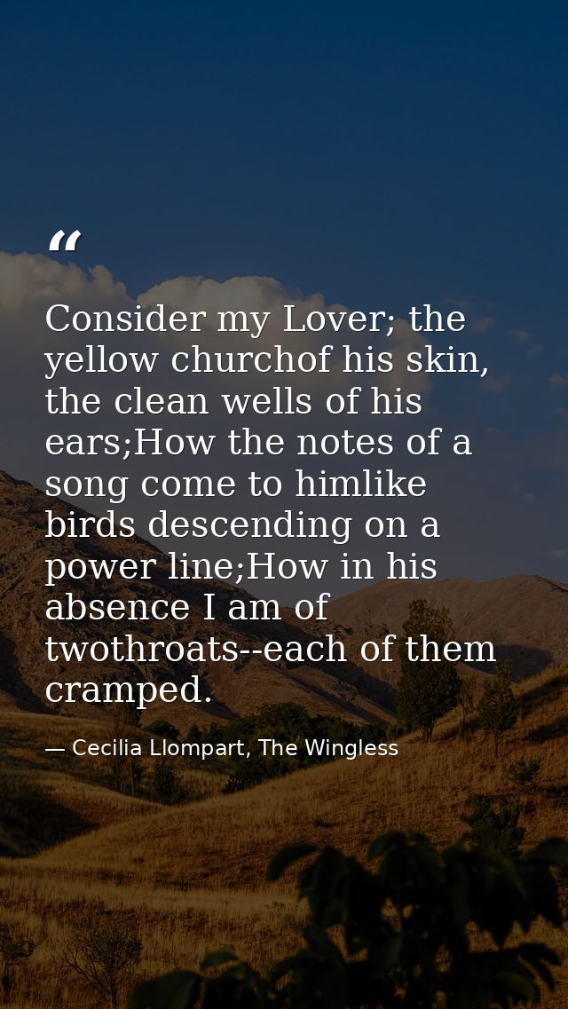 Consider my Lover; the yellow churchof his skin, the clean wells of his ears;How the notes of a song come to himlike bir — Cecilia Llompart, The Wingless
