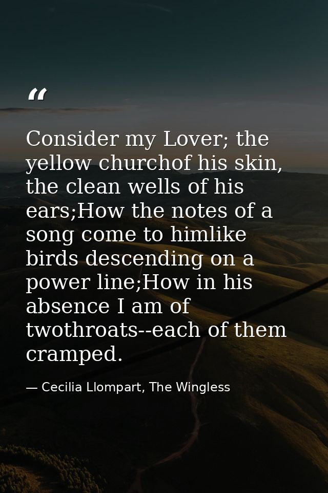 Consider my Lover; the yellow churchof his skin, the clean wells of his ears;How the notes of a song come to himlike bir — Cecilia Llompart, The Wingless