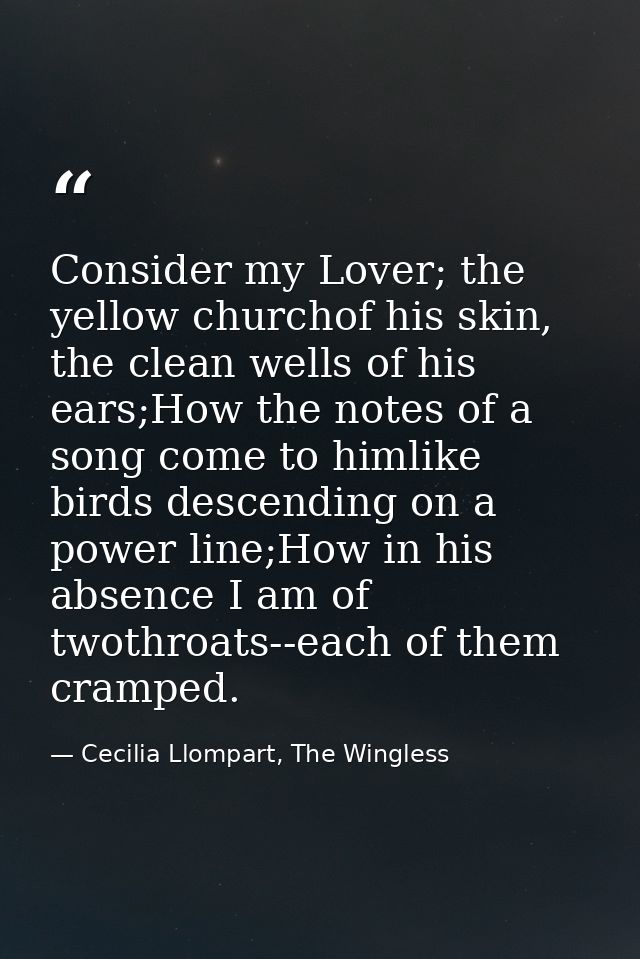 Consider my Lover; the yellow churchof his skin, the clean wells of his ears;How the notes of a song come to himlike bir — Cecilia Llompart, The Wingless