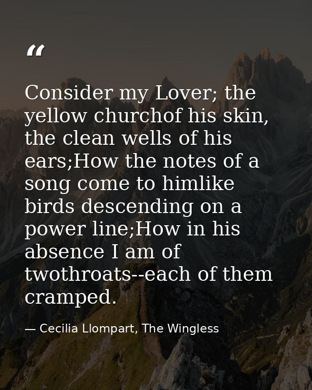 Consider my Lover; the yellow churchof his skin, the clean wells of his ears;How the notes of a song come to himlike bir — Cecilia Llompart, The Wingless