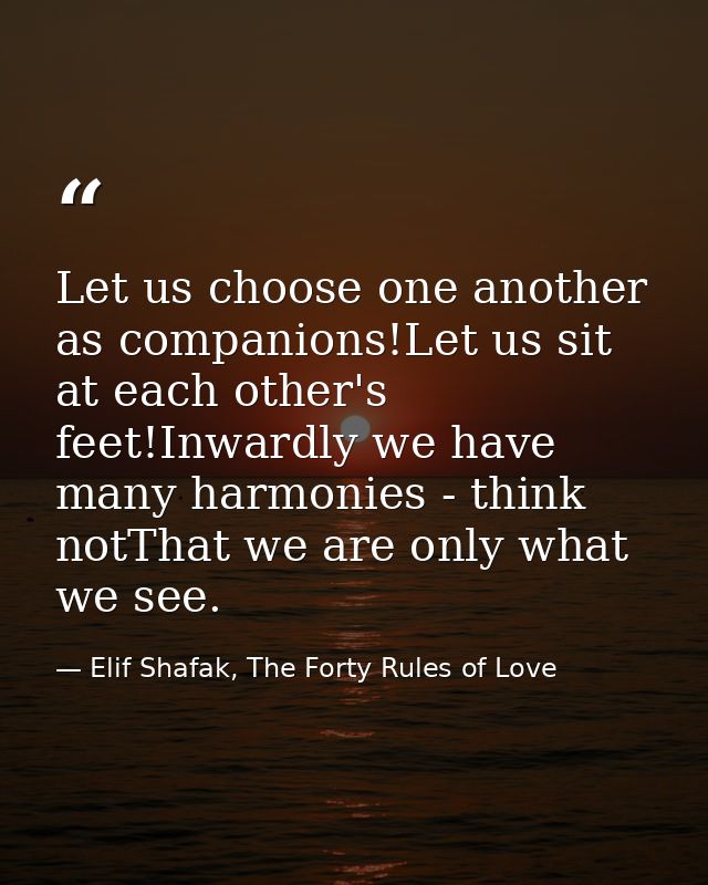 Let us choose one another as companions!Let us sit at each other's feet!Inwardly we have many harmonies - think notThat  — Elif Shafak, The Forty Rules of Love