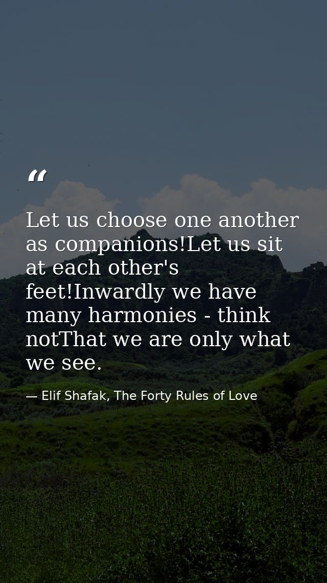 Let us choose one another as companions!Let us sit at each other's feet!Inwardly we have many harmonies - think notThat  — Elif Shafak, The Forty Rules of Love