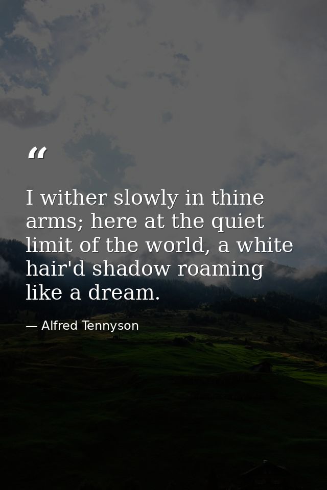 I wither slowly in thine arms; here at the quiet limit of the world, a white hair'd shadow roaming like a dream. — Alfred Tennyson