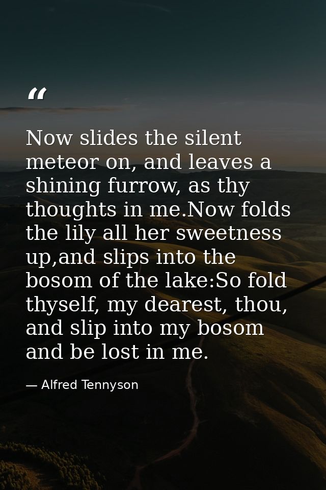 Now slides the silent meteor on, and leaves a shining furrow, as thy thoughts in me.Now folds the lily all her sweetness — Alfred Tennyson