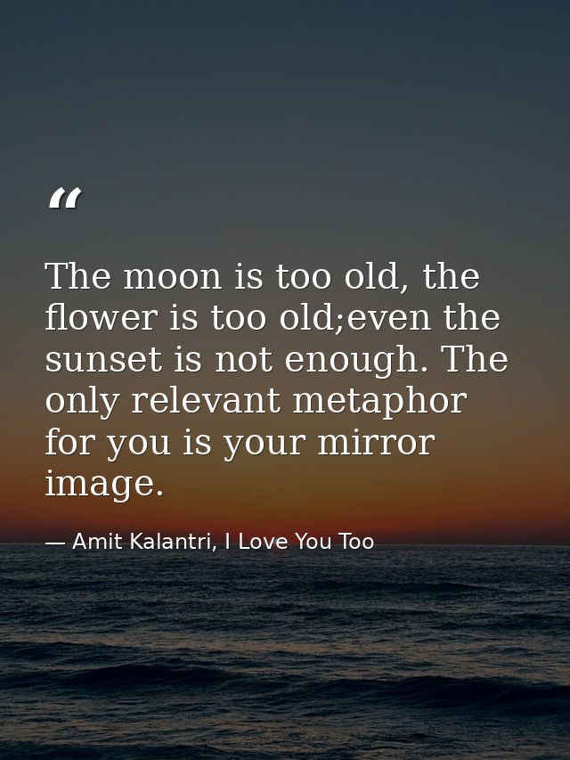 The moon is too old, the flower is too old;even the sunset is not enough. The only relevant metaphor for you is your mir — Amit Kalantri, I Love You Too