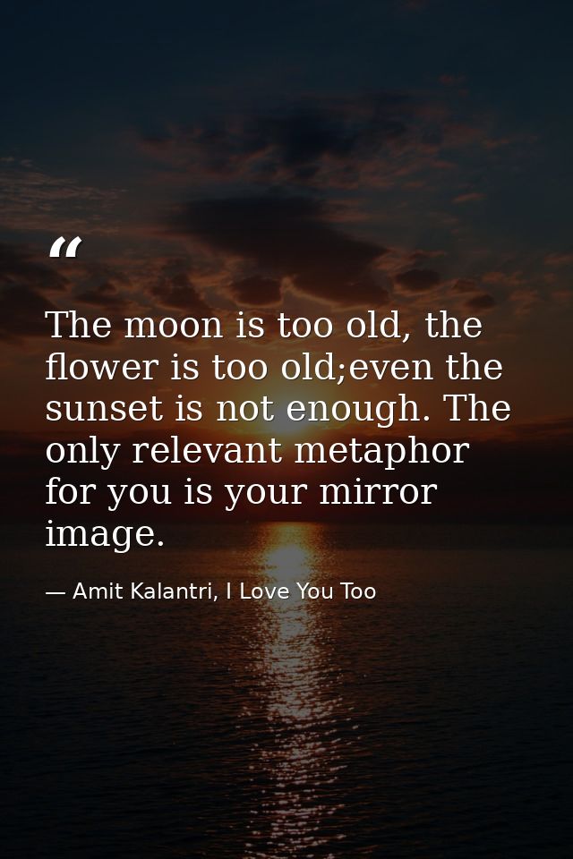 The moon is too old, the flower is too old;even the sunset is not enough. The only relevant metaphor for you is your mir — Amit Kalantri, I Love You Too