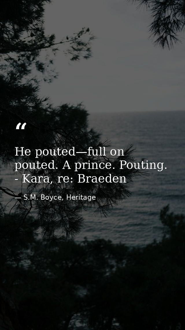 He pouted—full on pouted. A prince. Pouting. - Kara, re: Braeden — S.M. Boyce, Heritage